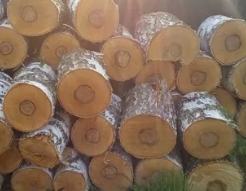 Березовые дрова чурками