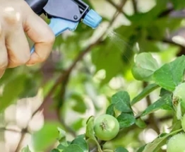 Защита плодового сада: руководство по выбору препаратов