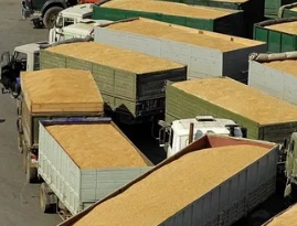 Как происходят перевозки зерновых грузов