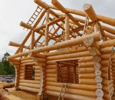 Строительство домов из бревен