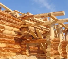 Строительство домов из бревен